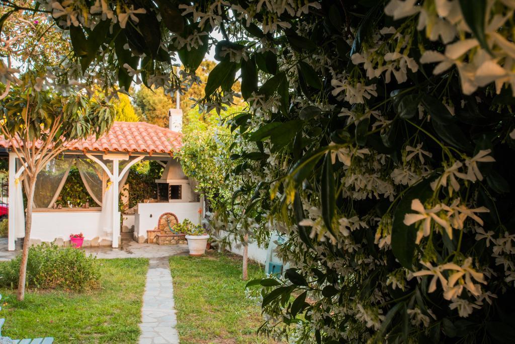 Bouganvillia Homes Nikiti  Bagian luar foto